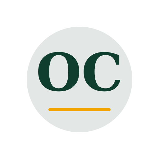 Ortiz Chimney Repair logo